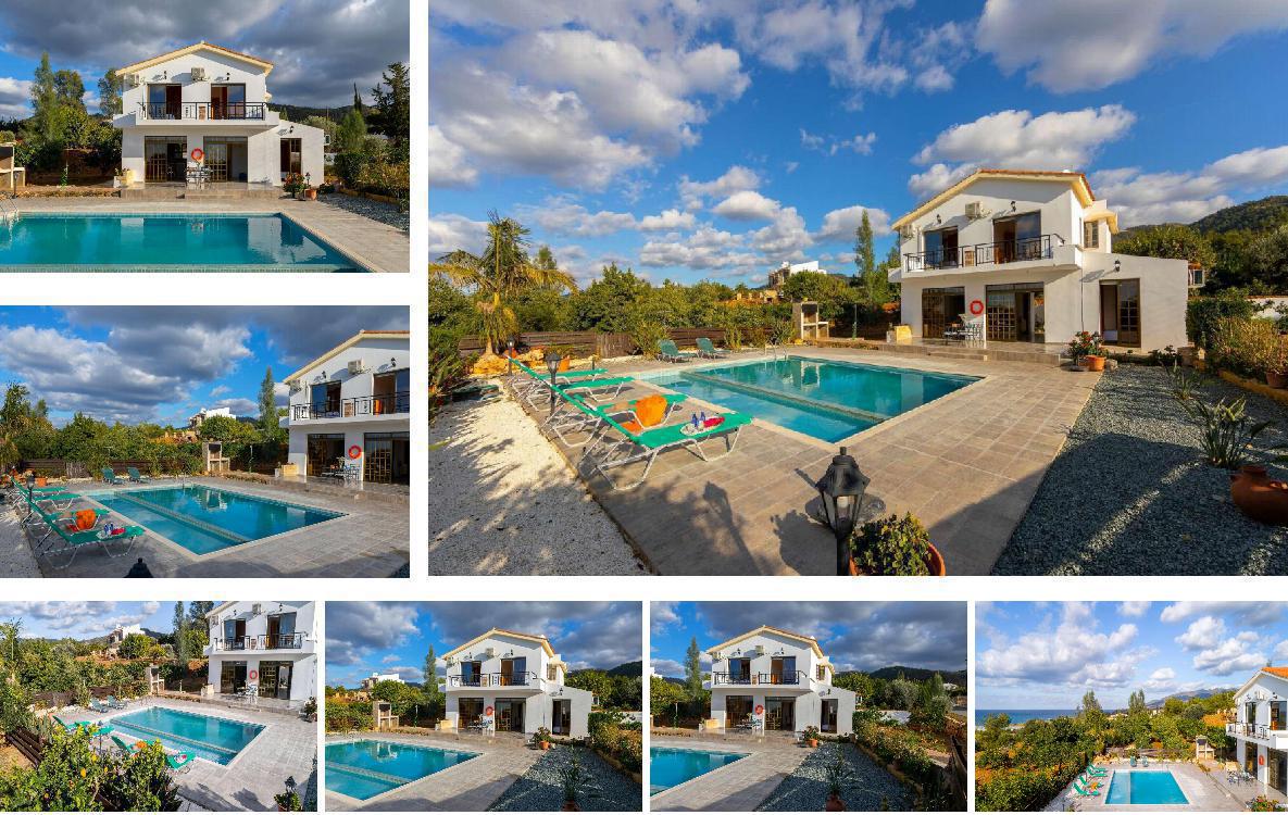 Villa Adonis Gallery Images