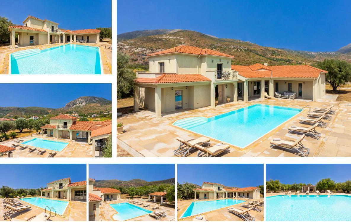 Villa Pomegranate Tree Gallery Images