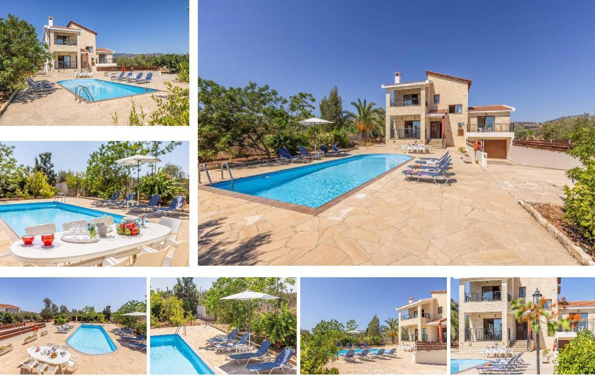 Villa Morpho Gallery Images
