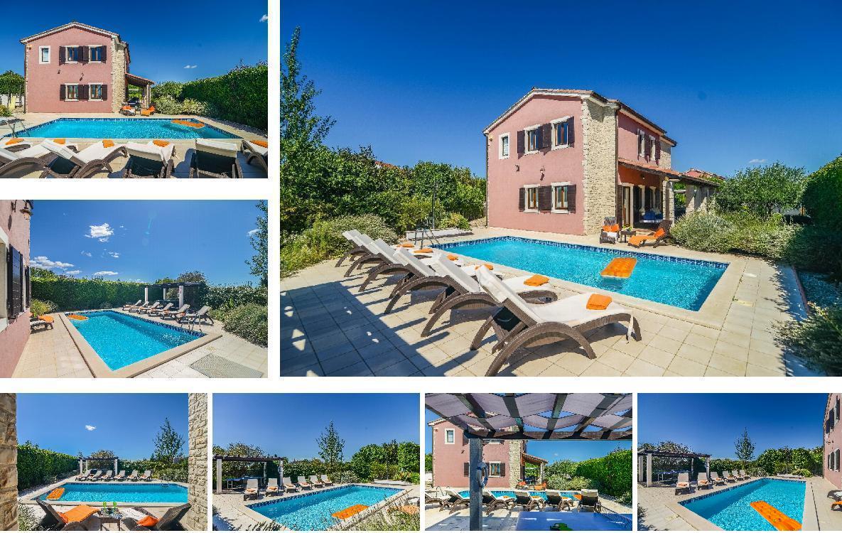 Villa Olive Tree Gallery Images