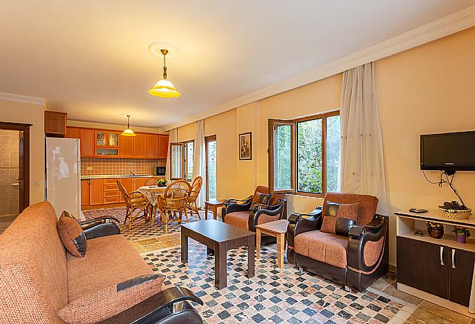 Open-plan living room with sofas, dining area, kitchen, A/C, WiFi internet, satellite TV, and pool terrace access . - Villa Arykanoos . (Галерея фотографий) }}