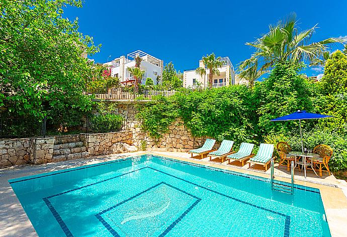 Private pool and terrace . - Villa Arykanoos . (Galerie de photos) }}