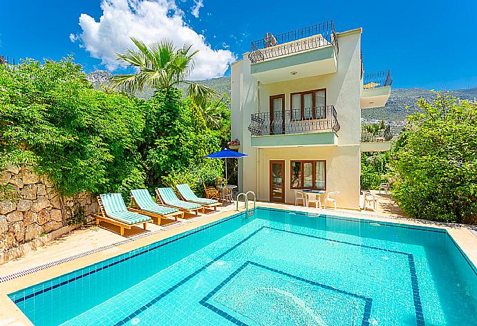 ,Beautiful villa with private pool and terrace . - Villa Arykanoos . (Galería de imágenes) }}