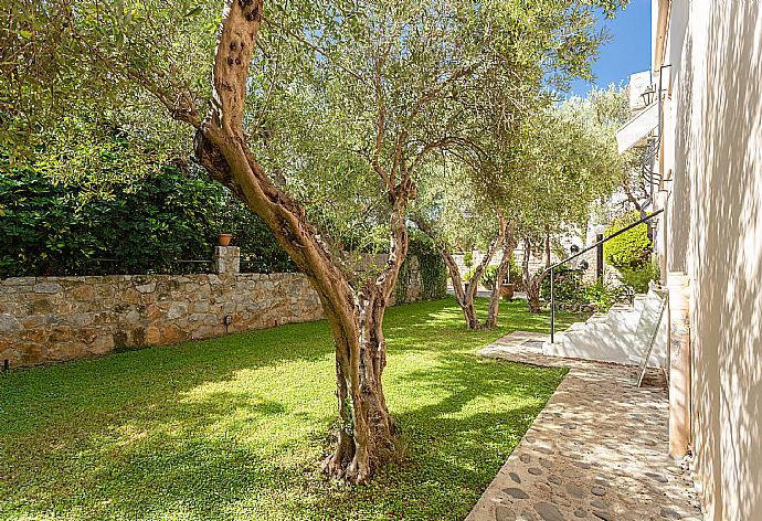 Garden area . - Villa Tzina . (Fotogalerie) }}