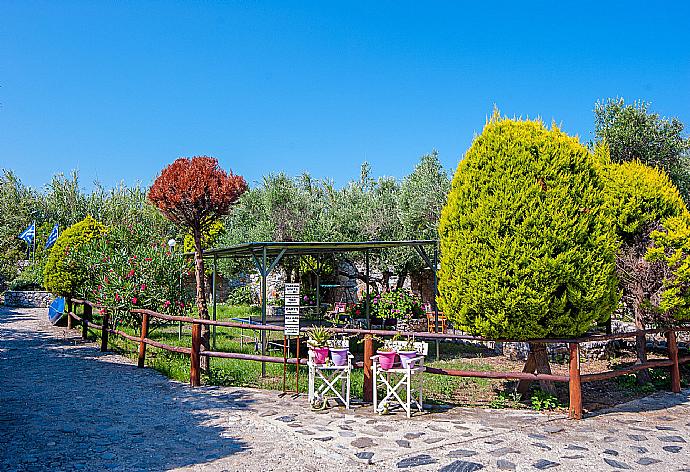 Shared garden area of Eleon Villas  . - Villa Melina . (Галерея фотографий) }}