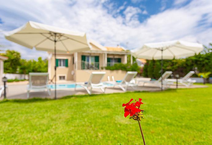 Garden area . - Villa Alexandra . (Fotogalerie) }}