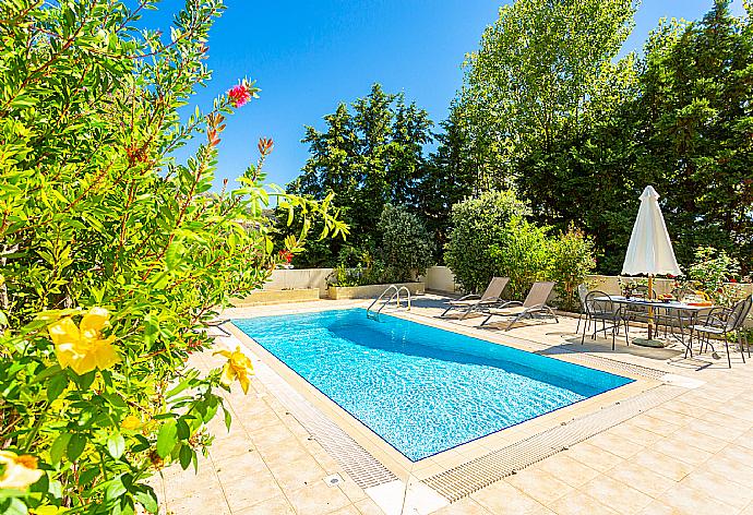 Private pool and terrace . - Villa Semeli . (Fotogalerie) }}