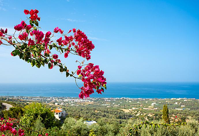 View from terrace . - Villa Garifallia . (Fotogalerie) }}