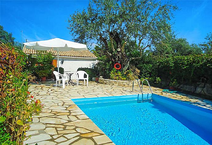Private Private pool with terrace area pool . - Fishermans Cottage . (Fotogalerie) }}