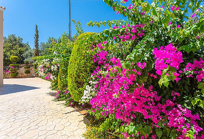 Driveway . - Villa Mary . (Fotogalerie) }}