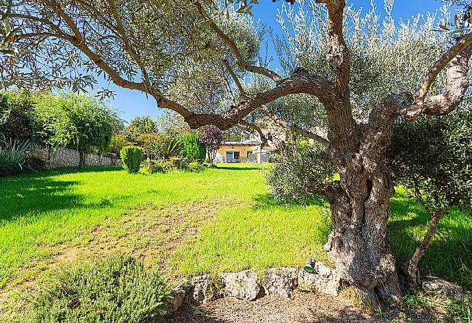 Garden area . - Villa Mary . (Photo Gallery) }}