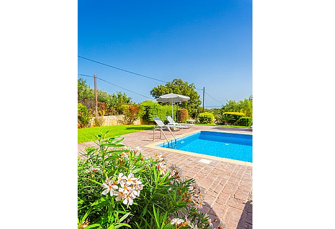 Private pool, terrace, and large garden . - Villa Georgia . (Galería de imágenes) }}