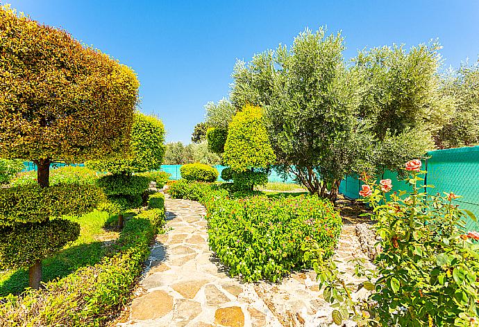 Garden area . - Villa Prodromi . (Galería de imágenes) }}