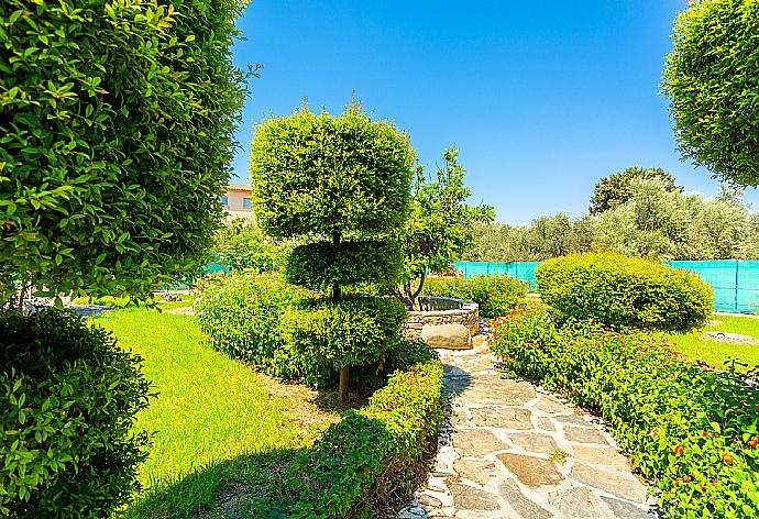 Garden area . - Villa Prodromi . (Galerie de photos) }}