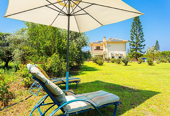 Large garden area . - Villa Olivetta . (Fotogalerie) }}