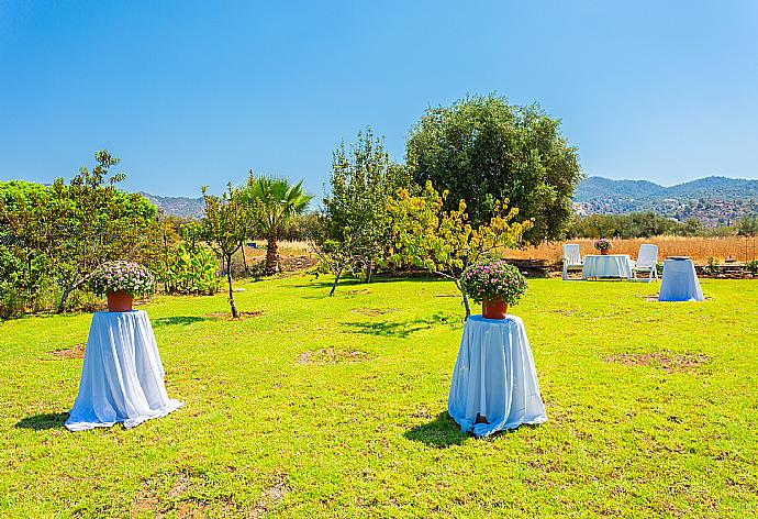 Large garden area . - Villa Olivetta . (Galerie de photos) }}