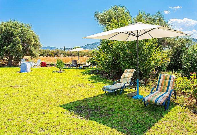 Large garden area . - Villa Olivetta . (Fotogalerie) }}