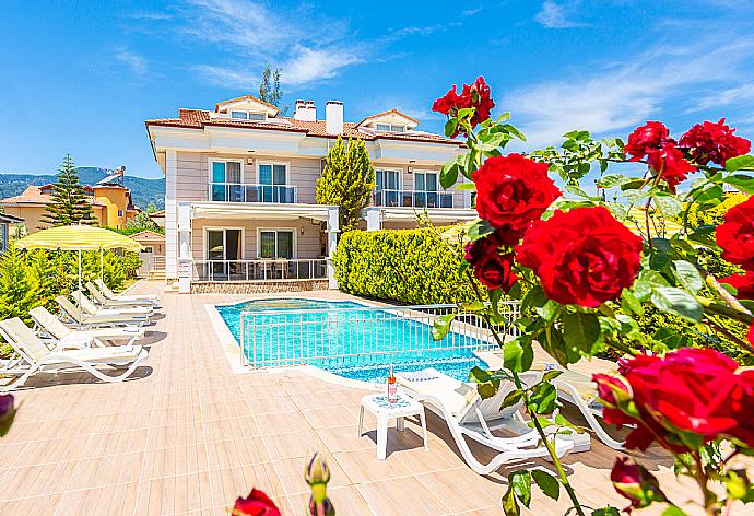 Private pool and terrace . - Villa Canberk . (Galería de imágenes) }}