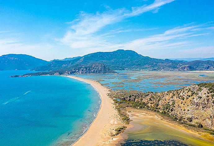 Iztuzu beach, Dalyan . - Villa Canberk . (Galería de imágenes) }}