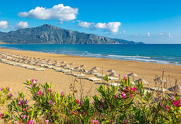 Iztuzu beach, Dalyan . - Villa Canberk . (Галерея фотографий) }}