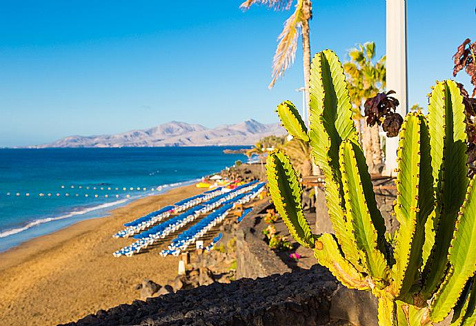 Puerto del Carmen . - Villa Ramos Dos . (Галерея фотографий) }}