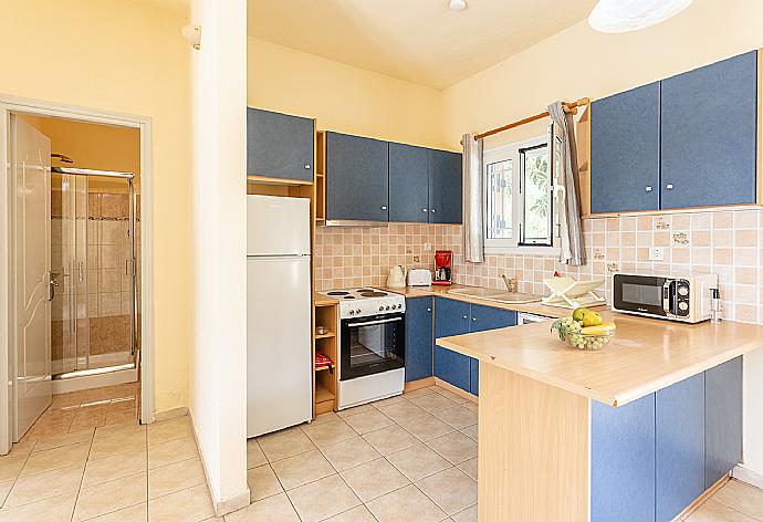 Equipped kitchen . - Villa Russa Dionisis . (Fotogalerie) }}