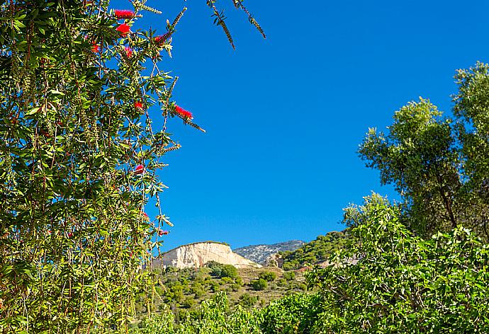 Garden area . - Villa Russa Dionisis . (Photo Gallery) }}