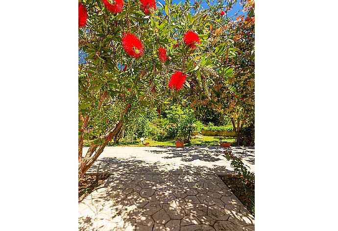 Garden area . - Villa Russa Alexandros . (Galerie de photos) }}