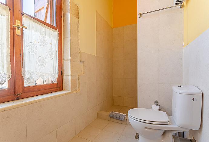 En suite bathroom with overhead shower . - Archontiko Galliaki . (Galerie de photos) }}