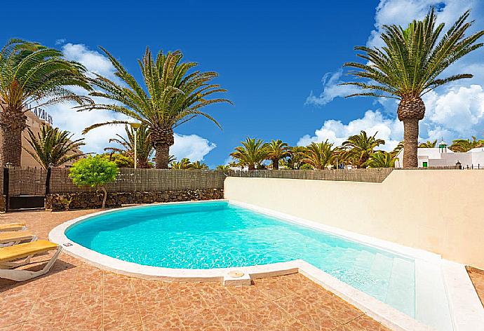 Private pool and terrace . - Villa Sol . (Photo Gallery) }}