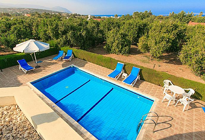 Private pool and terrace . - Villa Bougainvillea . (Galería de imágenes) }}