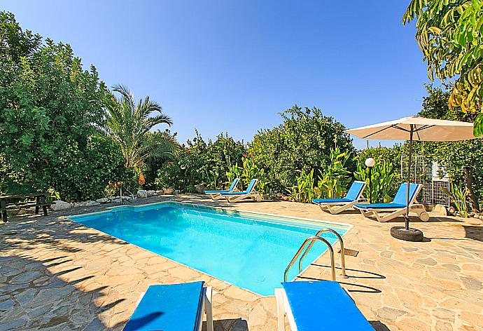 Private pool with terrace area . - Villa Solon . (Photo Gallery) }}