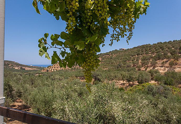 Balcony with views . - Villa Dimitra . (Photo Gallery) }}