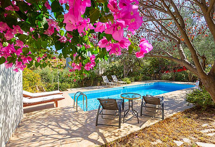 Private pool and terrace . - Villa Manolis . (Galerie de photos) }}