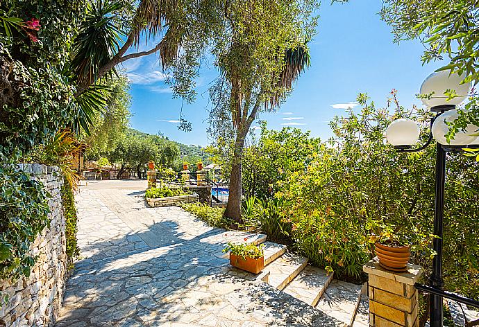 Terrace area . - Villa Lina . (Galería de imágenes) }}