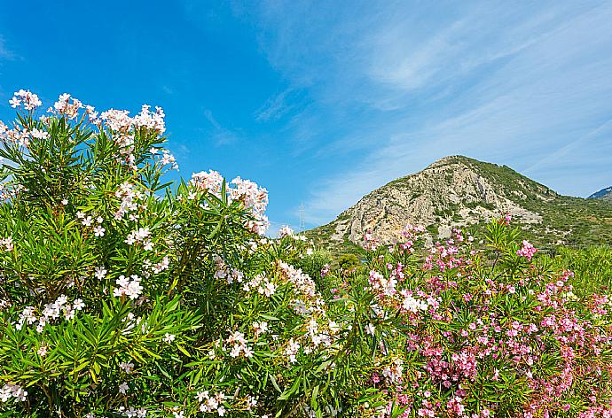 View from villa Peach . - Villa Peach . (Fotogalerie) }}