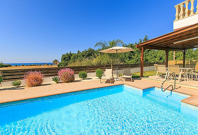 Private pool with terrace and garden . - Villa Clementina . (Photo Gallery) }}