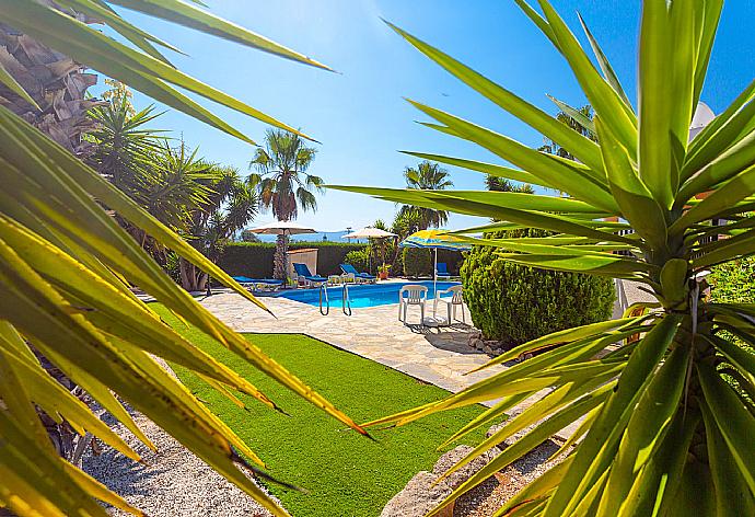 Garden area . - Villa Chrystalla . (Galerie de photos) }}