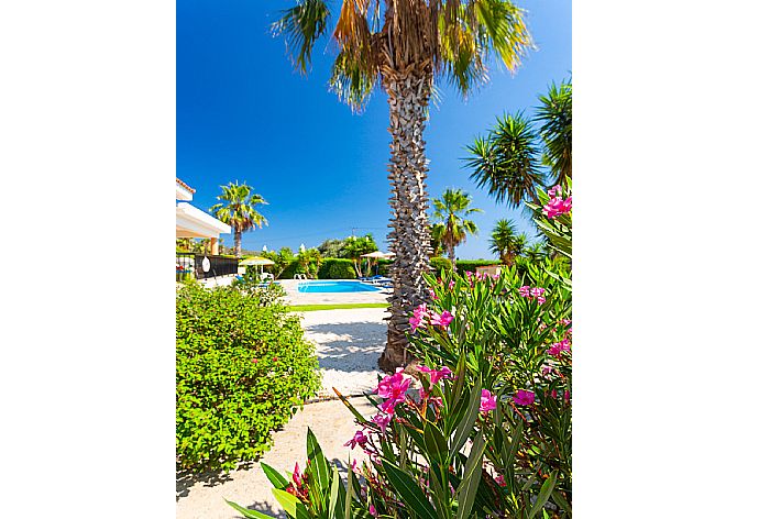 Garden area . - Villa Chrystalla . (Galería de imágenes) }}