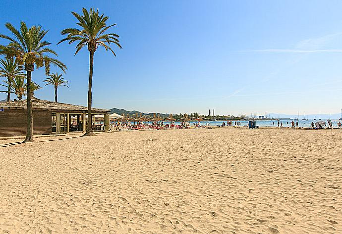 Playa de Muro . - Villa Minerva . (Fotogalerie) }}