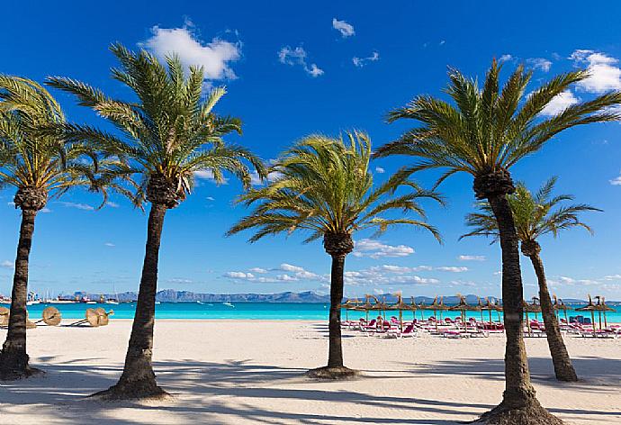 Platja de Alcudia . - Villa Minerva . (Fotogalerie) }}