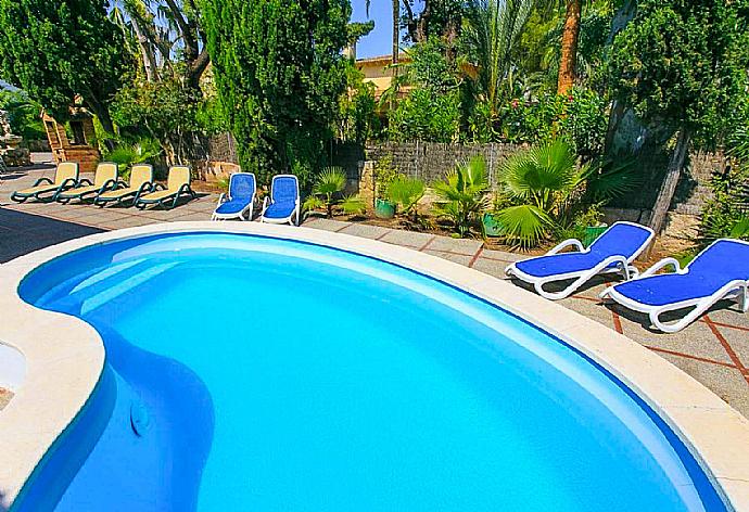 Private pool with terrace area . - Villa Minerva . (Photo Gallery) }}