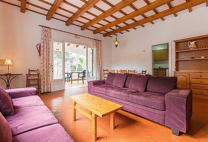 Living room with sofas, WiFi Internet, DVD player and ornamental fire place. . - Villa Trepuco Uno . (Galleria fotografica) }}