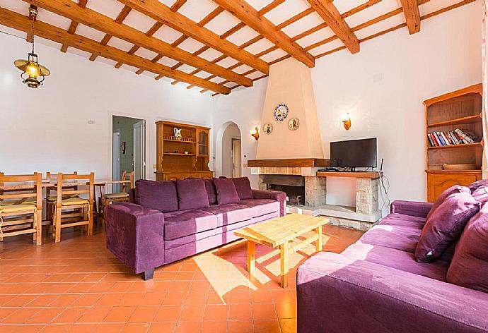 Living room with sofas, WiFi Internet, DVD player and ornamental fire place. . - Villa Trepuco Uno . (Galleria fotografica) }}