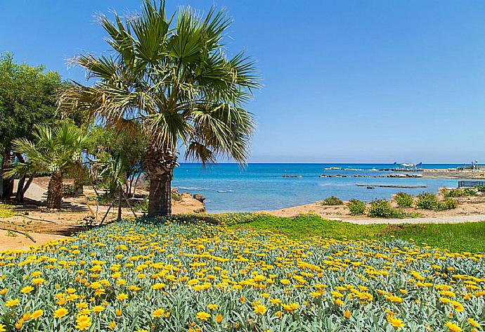 Local beach . - Villa Constantinos . (Galerie de photos) }}