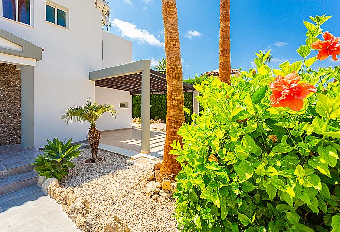 Garden area . - Villa Zenon . (Galería de imágenes) }}