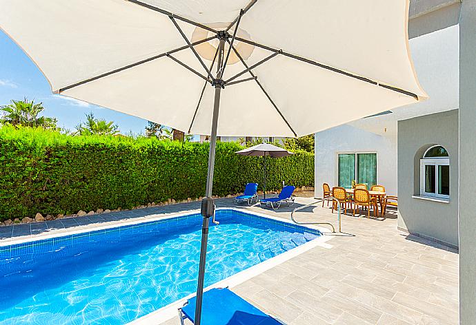 Private pool and terrace . - Villa Zenon . (Fotogalerie) }}