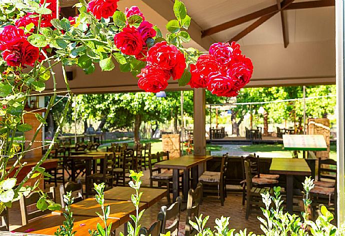 Paradise Villas restaurant . - Villa Bercu Paradise . (Photo Gallery) }}