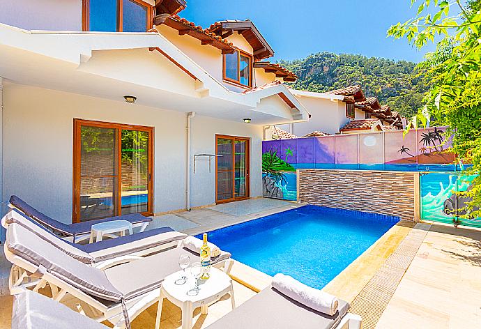 ,Beautiful villa with private pool and terrace . - Villa Elmas Paradise . (Photo Gallery) }}