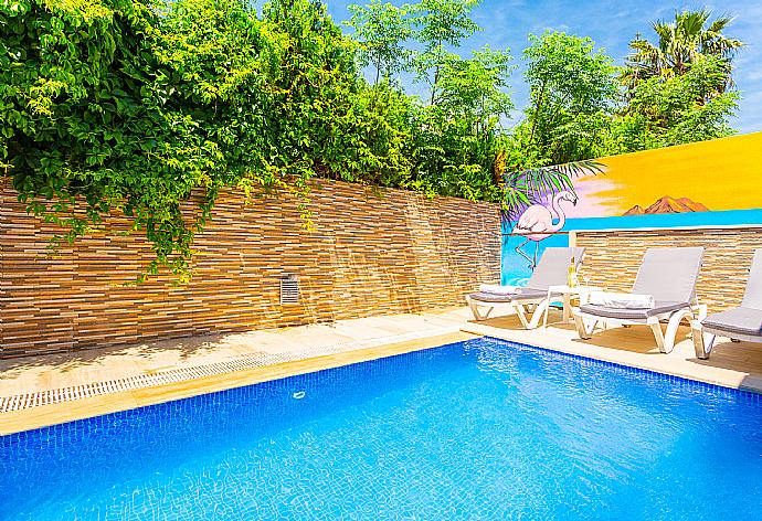 Private pool and terrace . - Villa Elmas Paradise . (Fotogalerie) }}